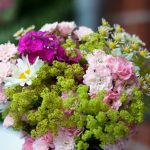 Macro, Garten, 2016 25